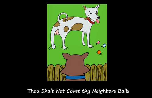 Commandment # 8