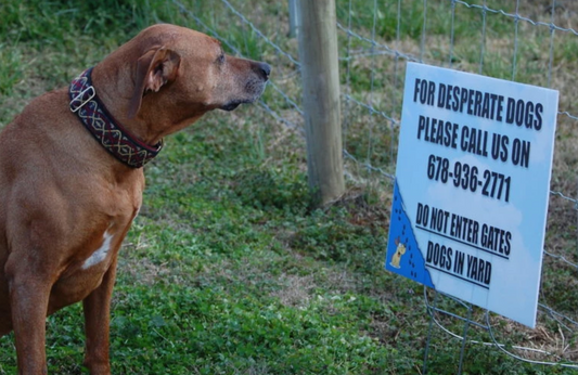 read the sign