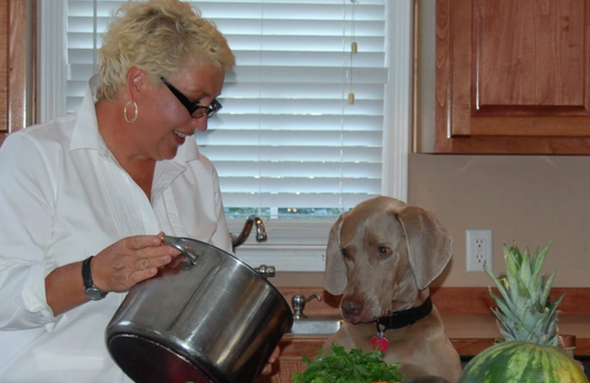 Feed your dog well and prevent him from becoming a Desperate Dog..