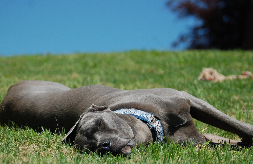 The One About Sleep....