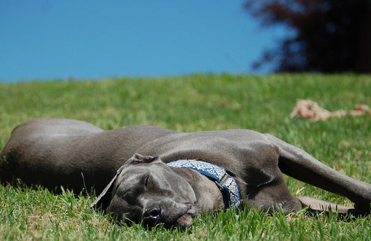 The One About Sleep....