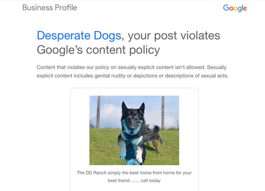 Google you are our 'Dick of the Week'