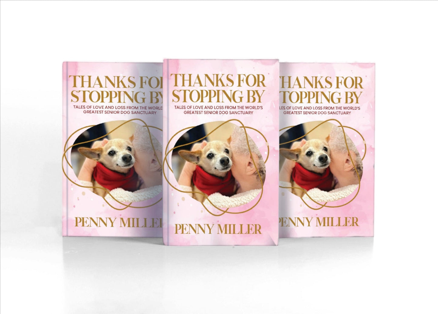 Thanks For Stopping By (Paperback)