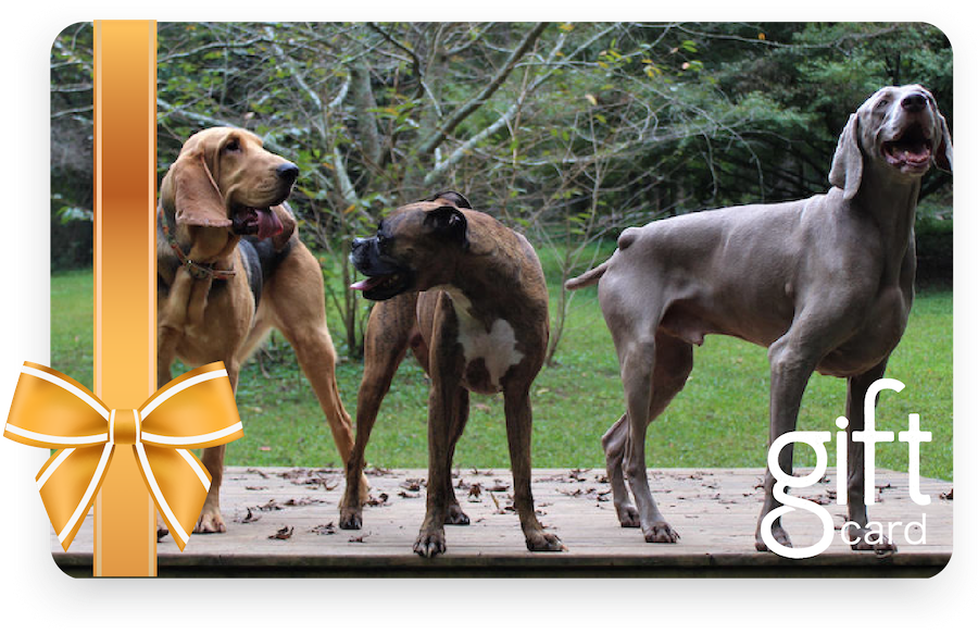 Desperate Dogs Gift Card