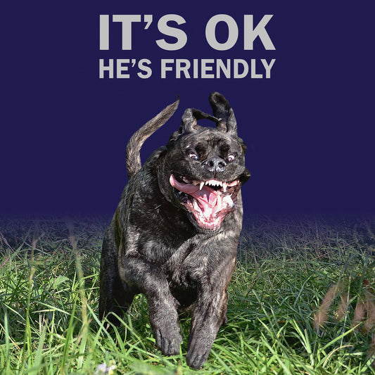 It's OK, He's Friendly