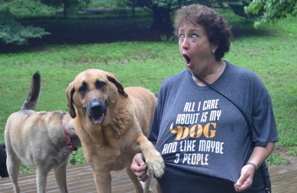 Body Language & Dogs