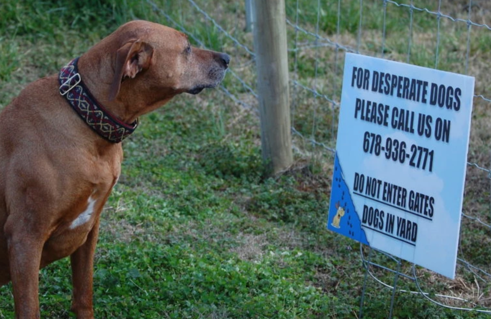 read the sign