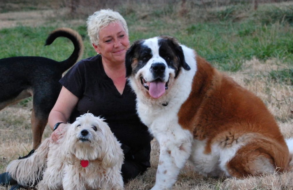 Happy Thanksgiving from all at Desperate Dogs