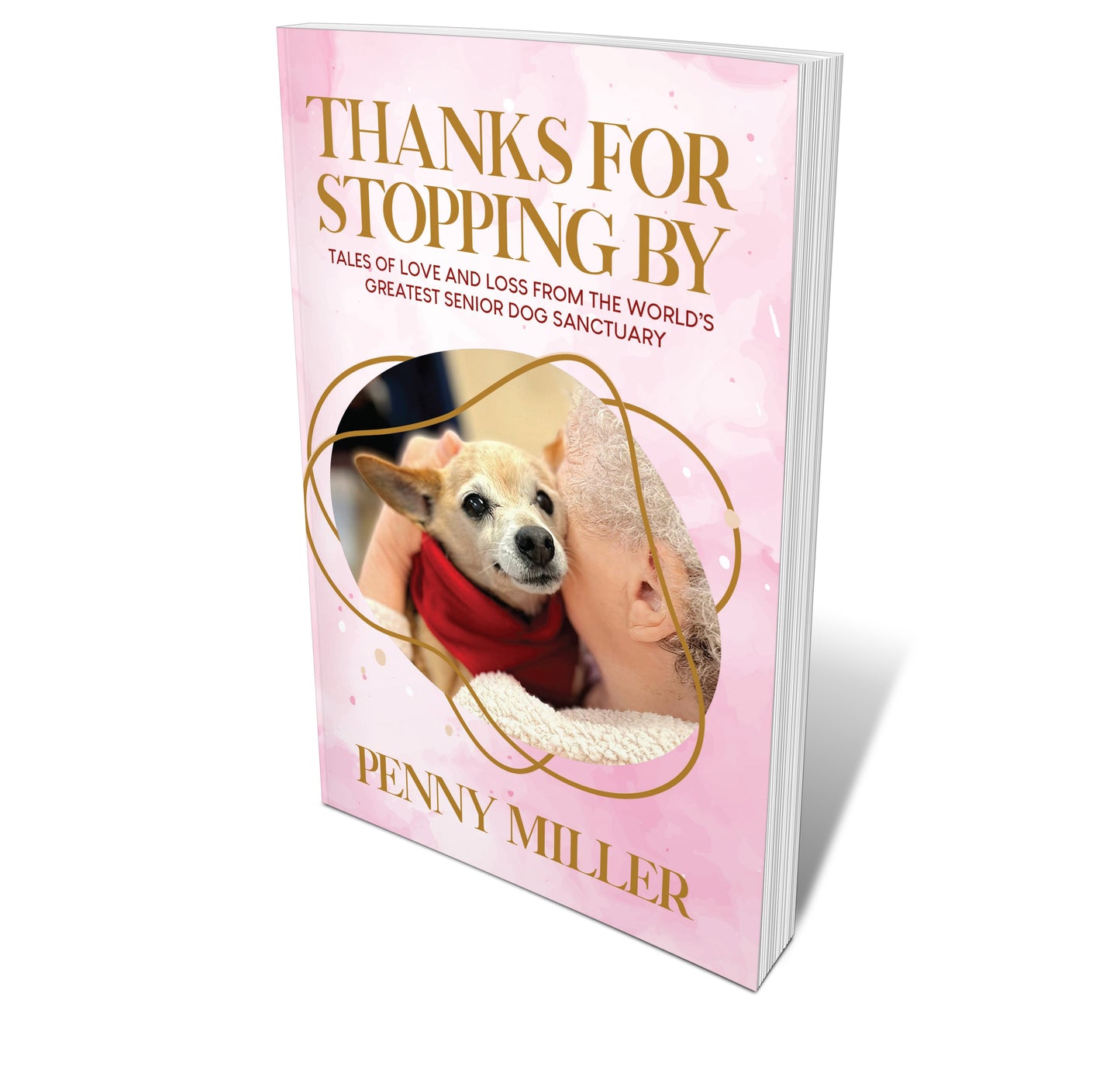 Thanks For Stopping By (Paperback)