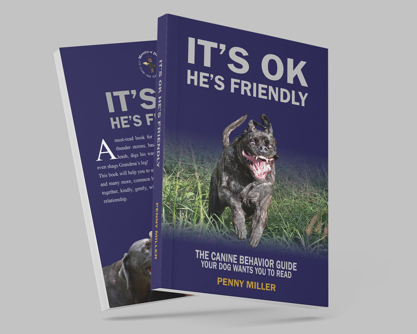 "It's OK, He's Friendly" (Downloadable)