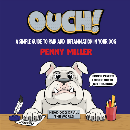 Ouch! (Paperback)
