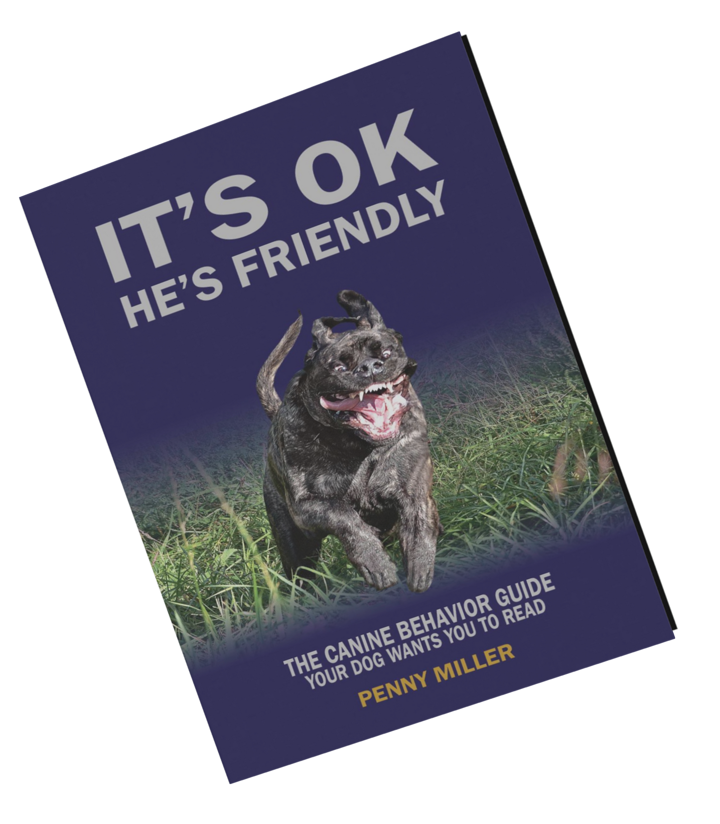 "It's OK, He's Friendly" (Paperback)